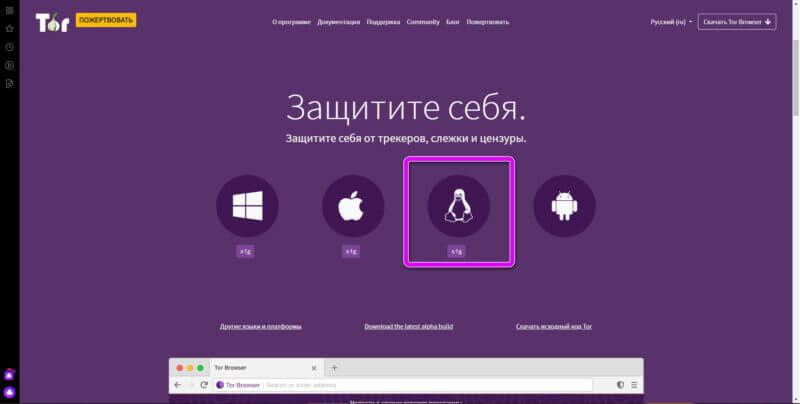 тор браузер для линукс скачать бесплатно на русском gidra